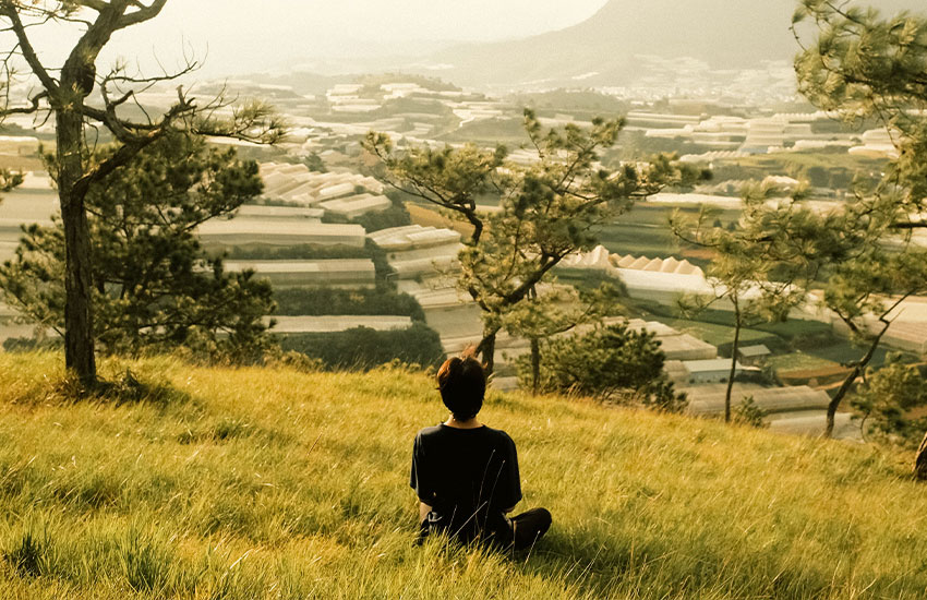 Life Domains
