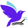 icon_trans